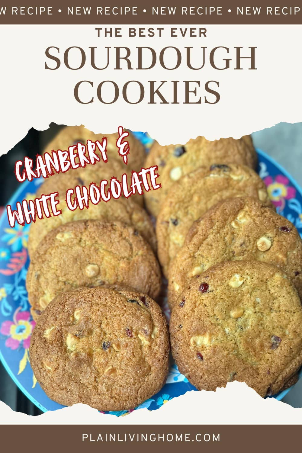 sourdough white chocolate and cranberry cookie recipe