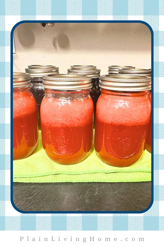 home canned strawberry lemonade concentrate