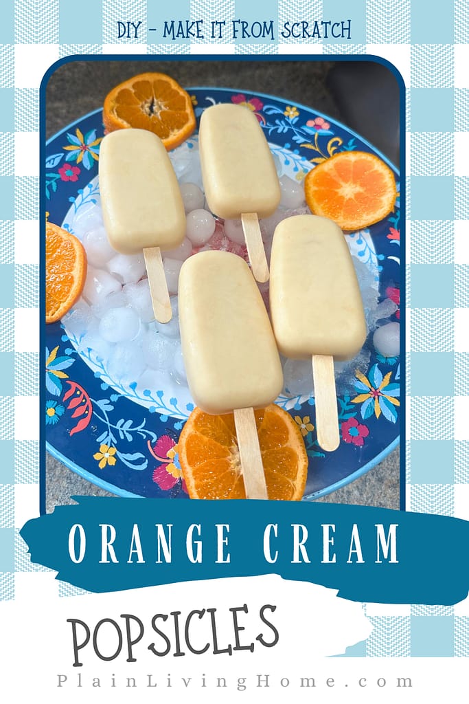 homemade popsicles