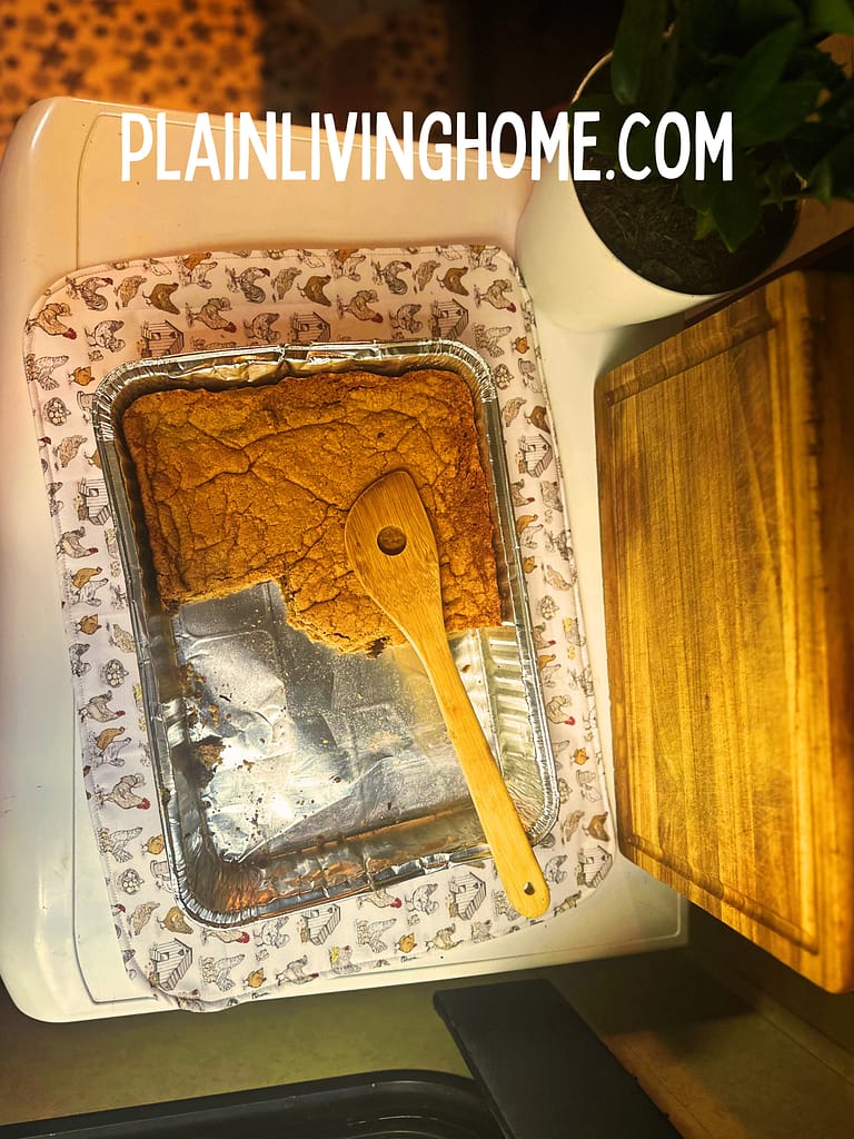 casserole dish size hot pad with a half eaten tray of brownies