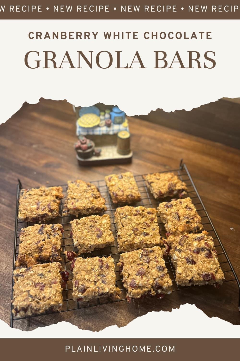 easy homemade recipe for sourdough granola bars