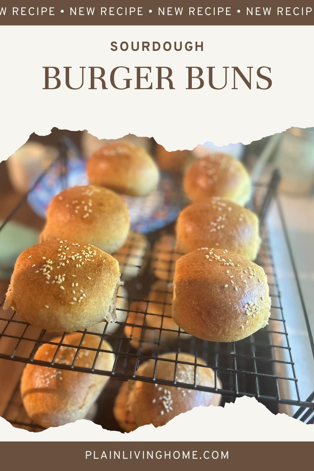 sourodugh burger buns topped with sesame seeds cooling on a baking rack
