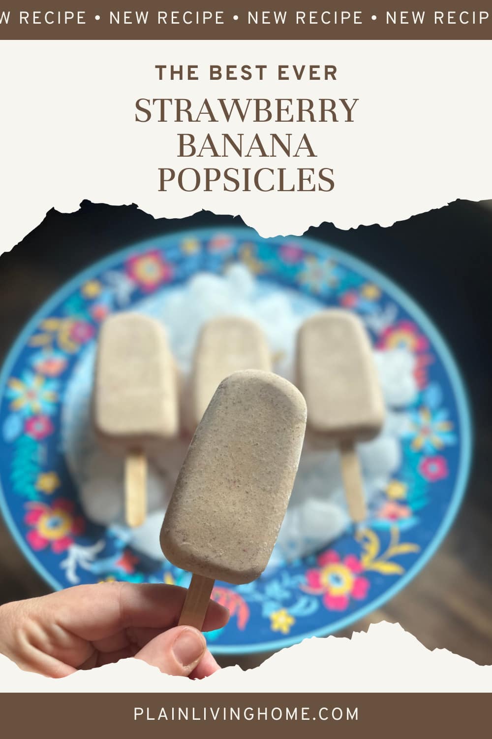 homemade strawberry banana popsicles recipe