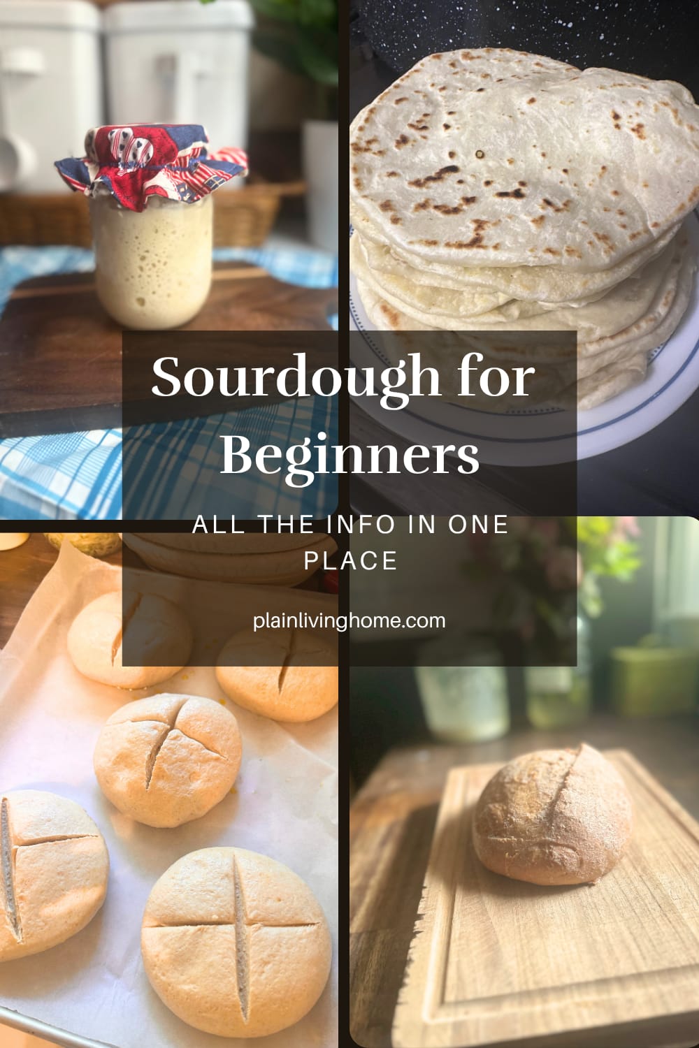 sourdough for beginners
