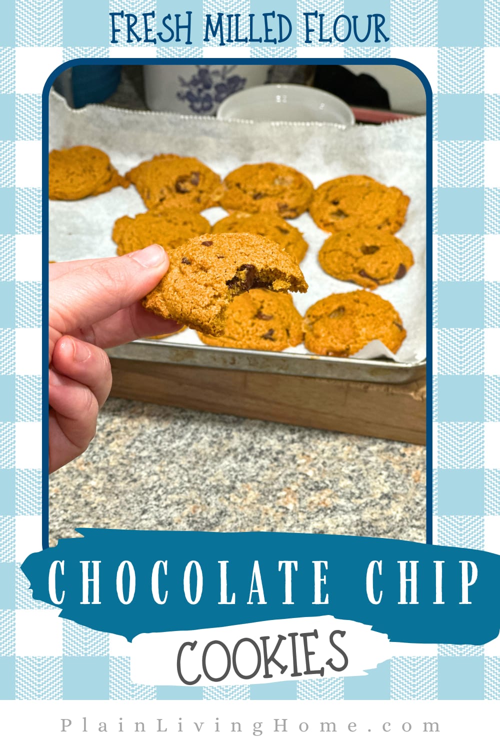 chocolate chip cookies made with fresh milled flour