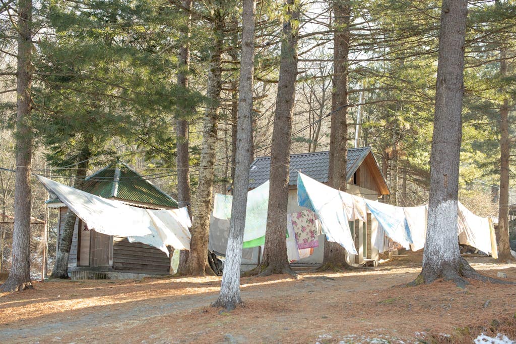 Cabins in a forest with rustic quilts hanging on a clothesline, showcasing a serene, rustic lifestyle.