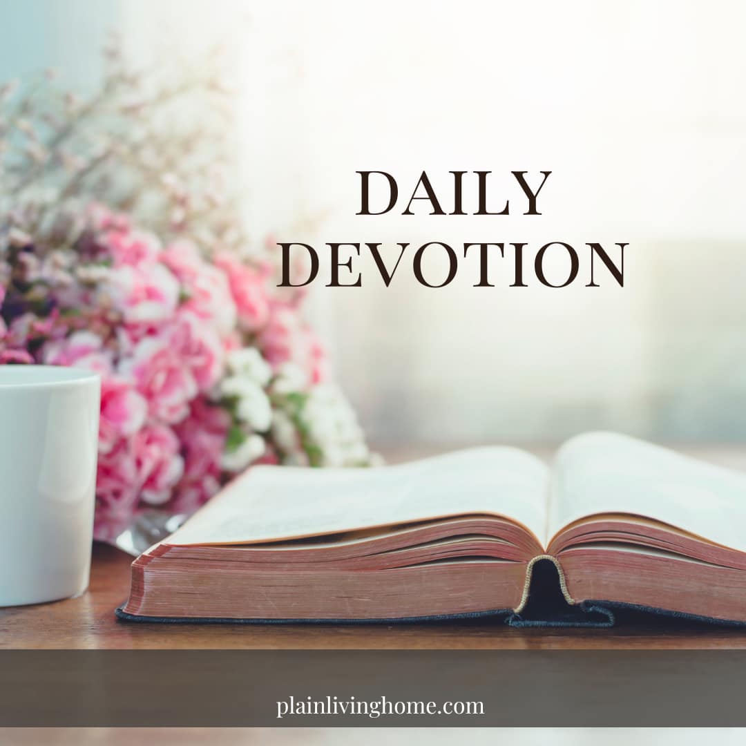 daily devotions from my bible studies in about 200 words