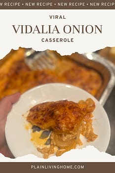 Viral Georgia Girl Casserole Recipe