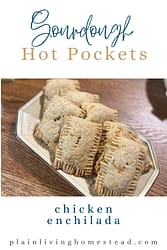 sourdough chicken enchilada hot pocket