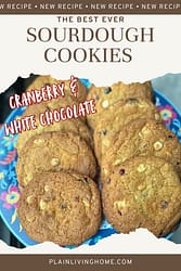 sourdough white chocolate and cranberry cookie recipe