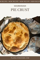 sourdough pie crust chicken pot pie