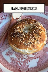 homemade sourdough bagels topped with my everything bagel seasoning