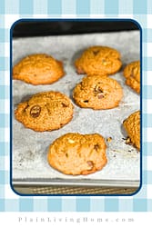 cookies fresh from the oven