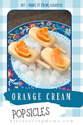 creamsicle's at home