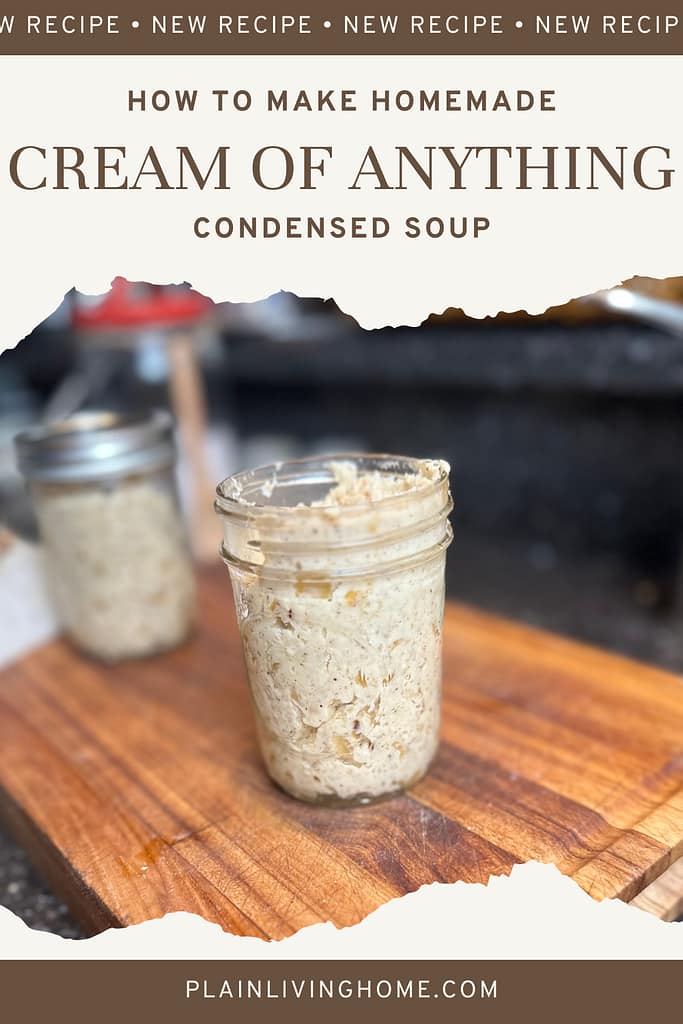 homemade condensed soup