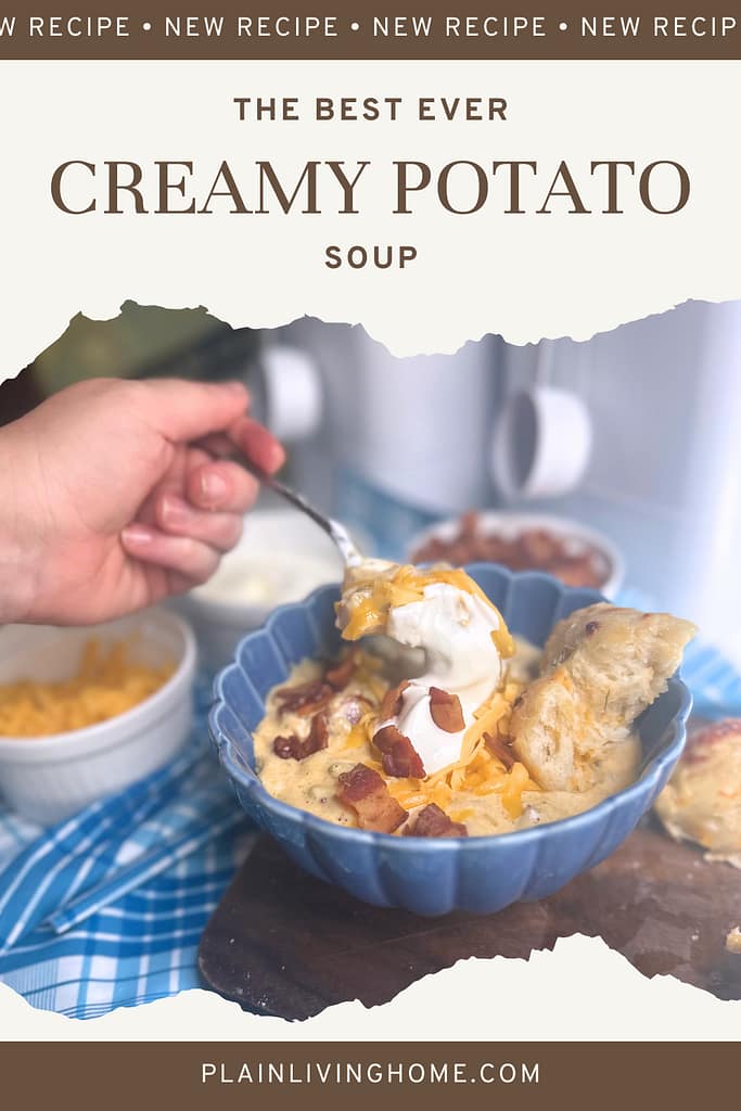 creamy potato soup with cheese, sour cream and bacon