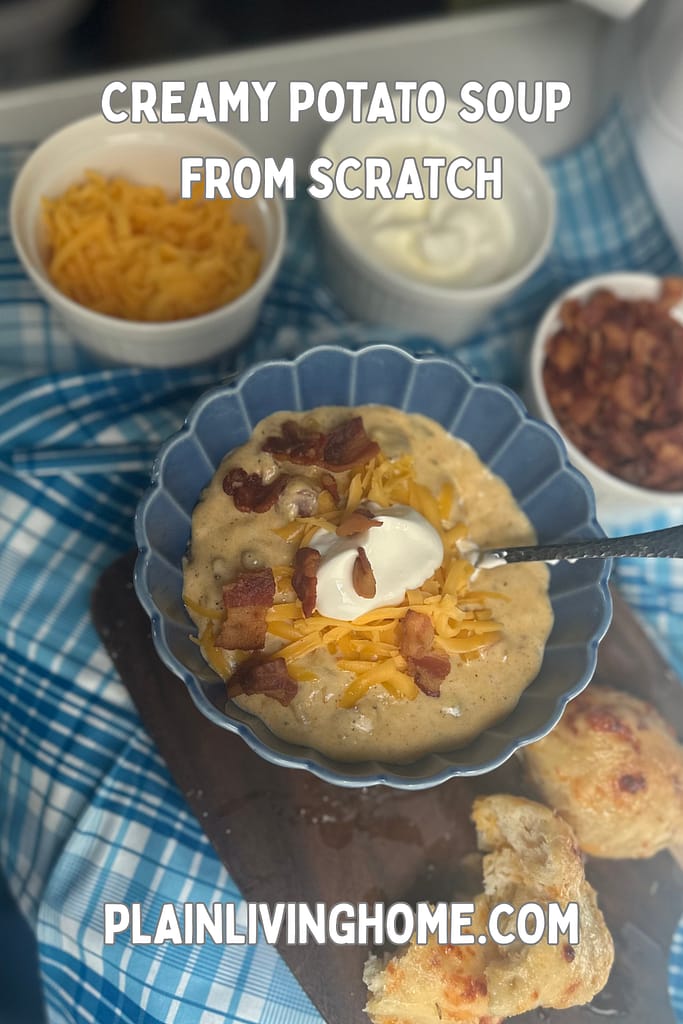 bowl of soup surrounded by bowls of toppings