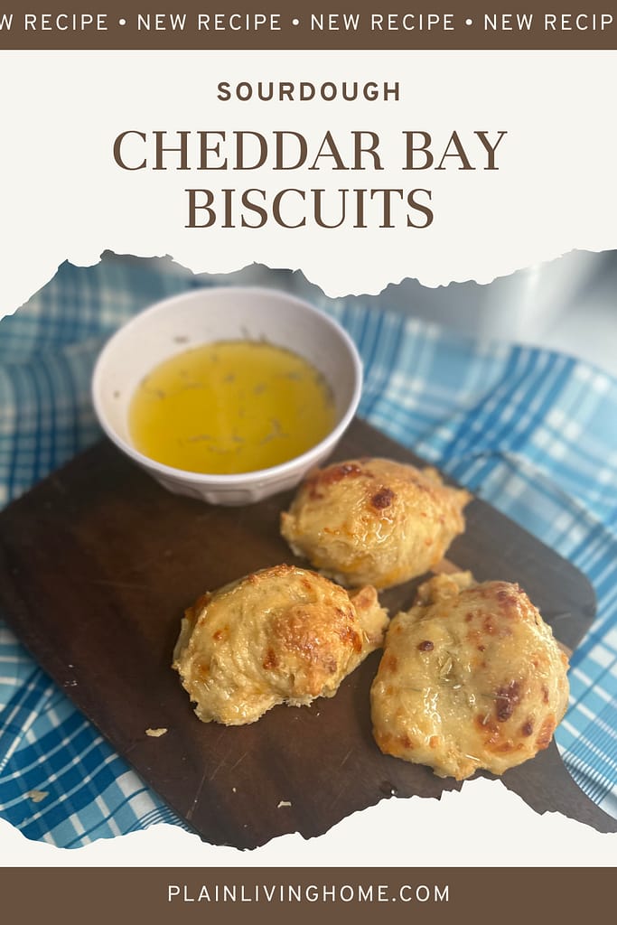sourdough cheddar bay biscuits recipe