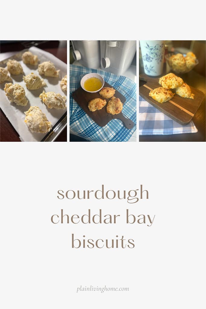 sourdough cheddar bay biscuits dipped in garlic butter