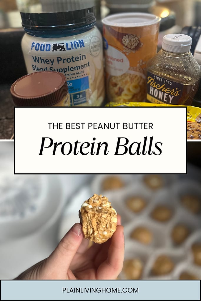 peanut butter protein balls recipe