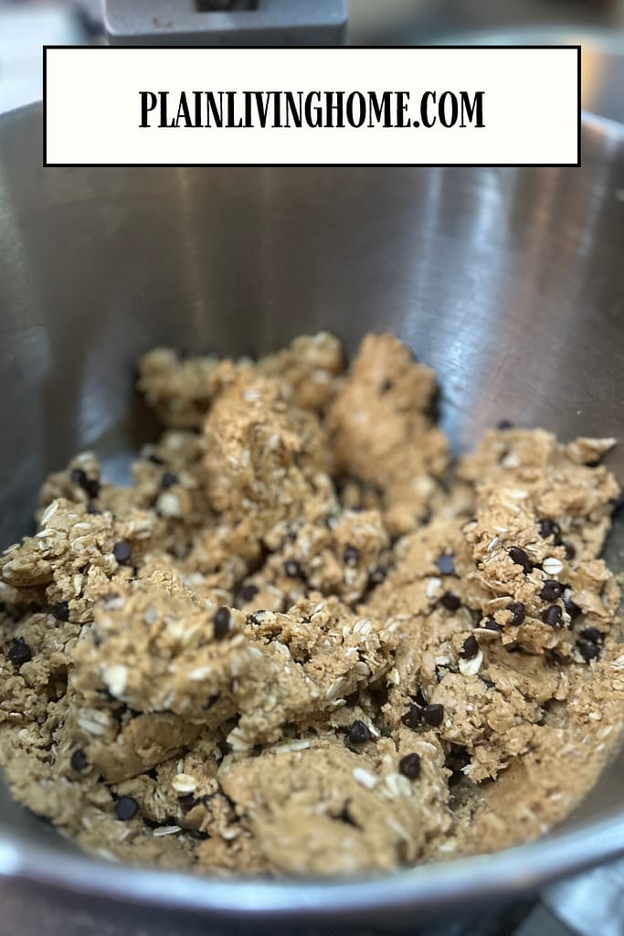 bowl full of peanut butter protein ball mix