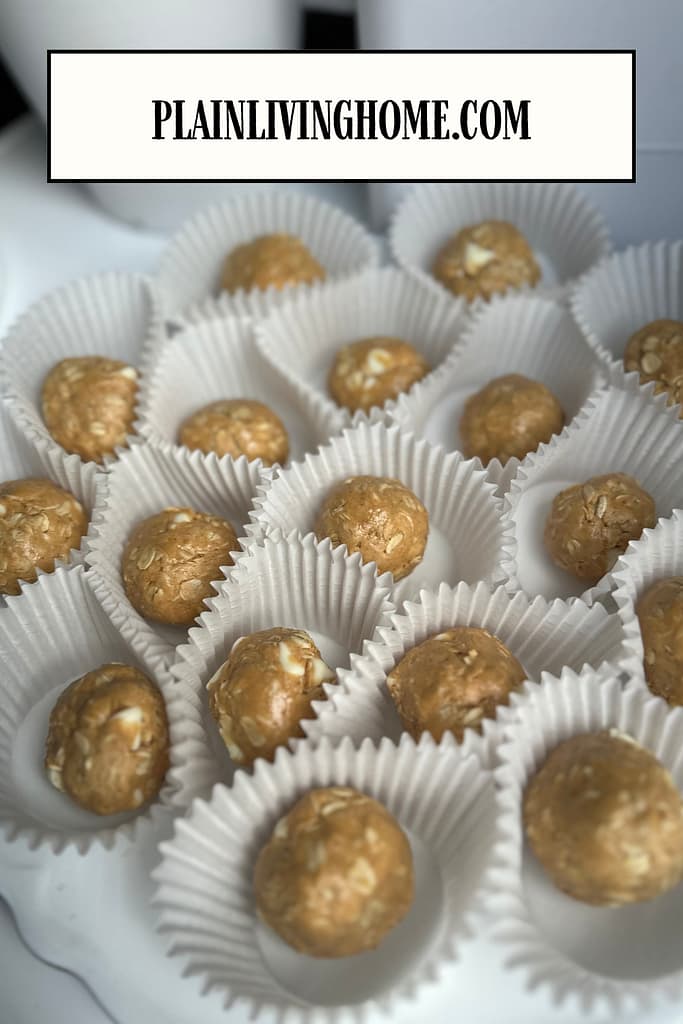 peanut butter protein balls in single serve cupcake liners