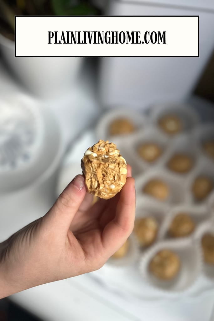 protein balls