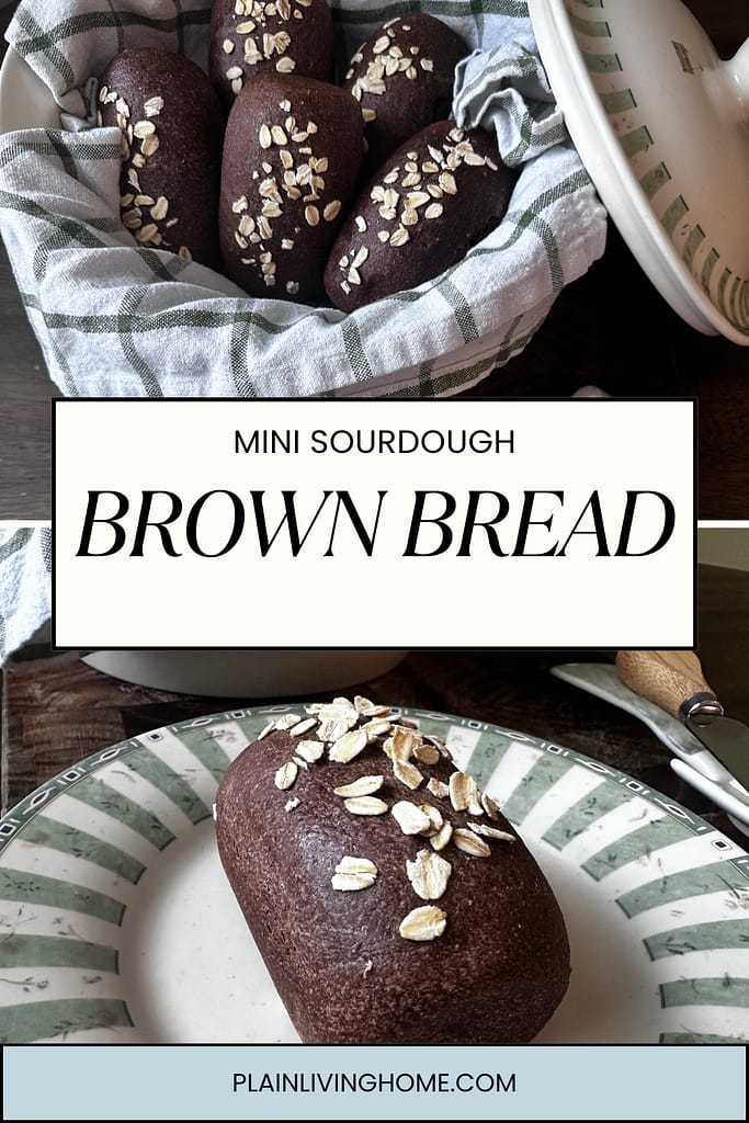 mini sourdough brown bread loaf recipe