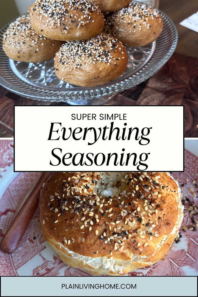 recipe for everything bagel seasoning