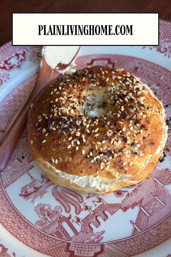 homemade sourdough bagels topped with my everything bagel seasoning