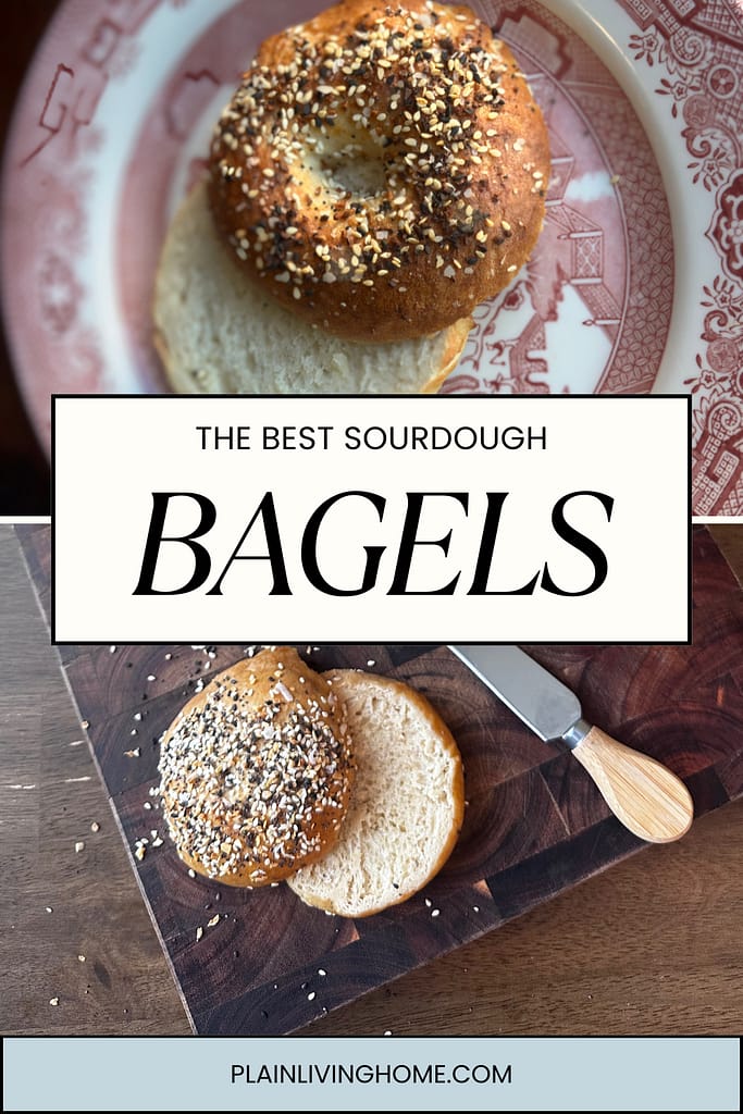 chewy sourdough bagel with everything seasoning
