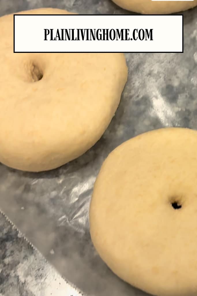proofed sourdough bagel dough before boiling