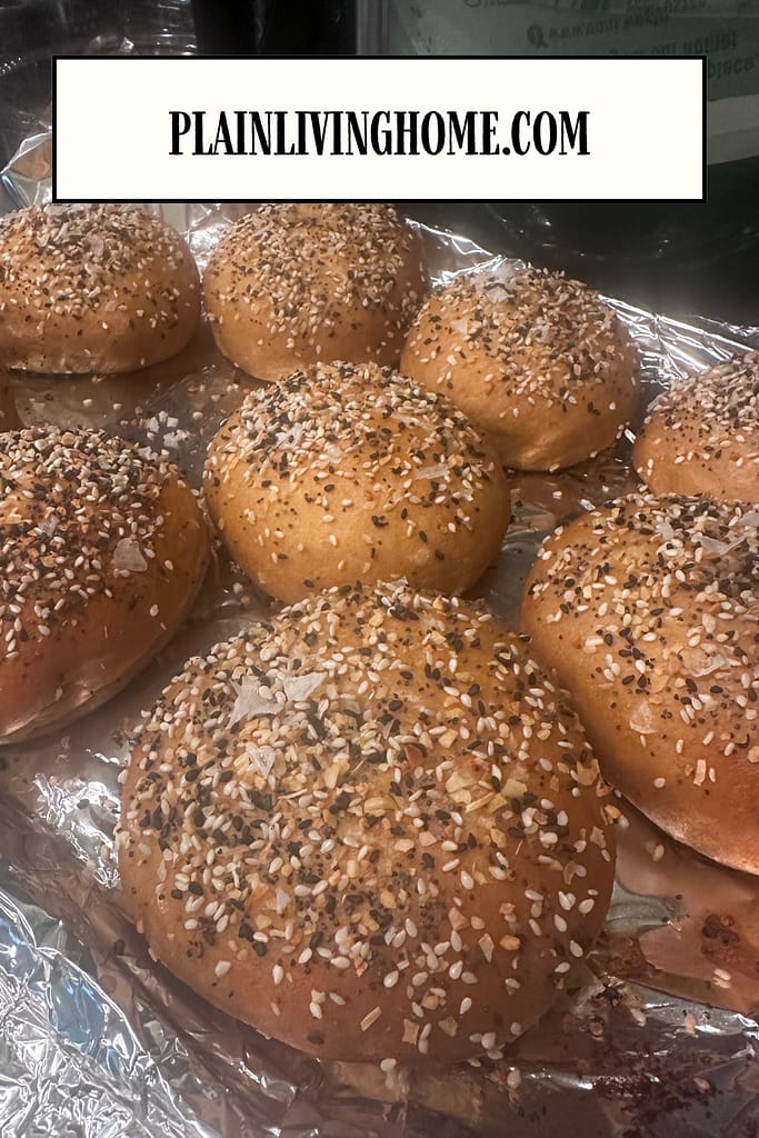 baked everything bagels made with sourdough starter