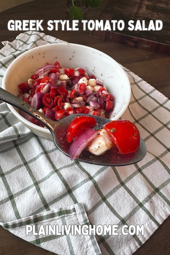 a silver spoon taking a scoop of greek tomato salad from a bowl