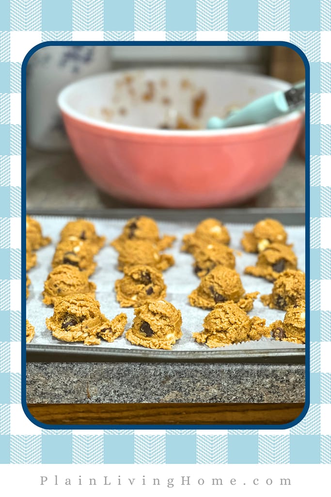 sourdough chocolate chip cookie dough ready to freeze