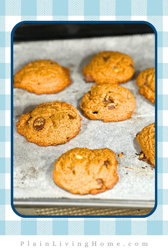 cookies fresh from the oven