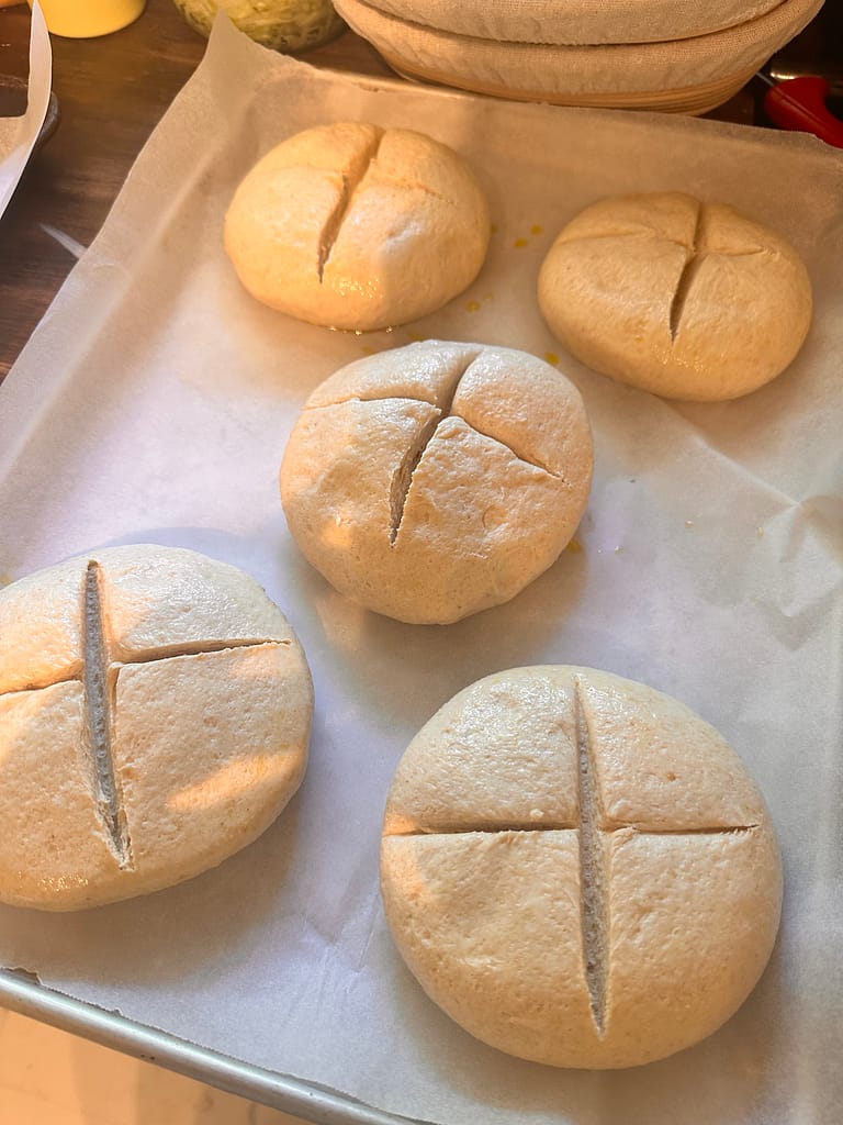 sourdough loaves after fermentation